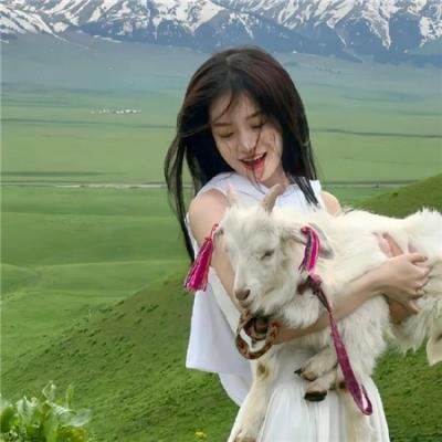 红。白。蓝 在线观看封面