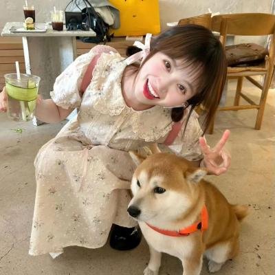 远方的小伙伴 在线观看封面